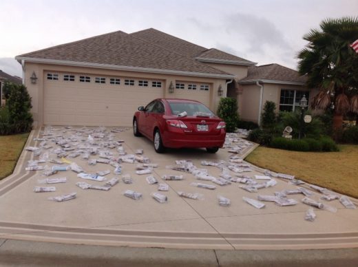 Newspapers_Driveway
